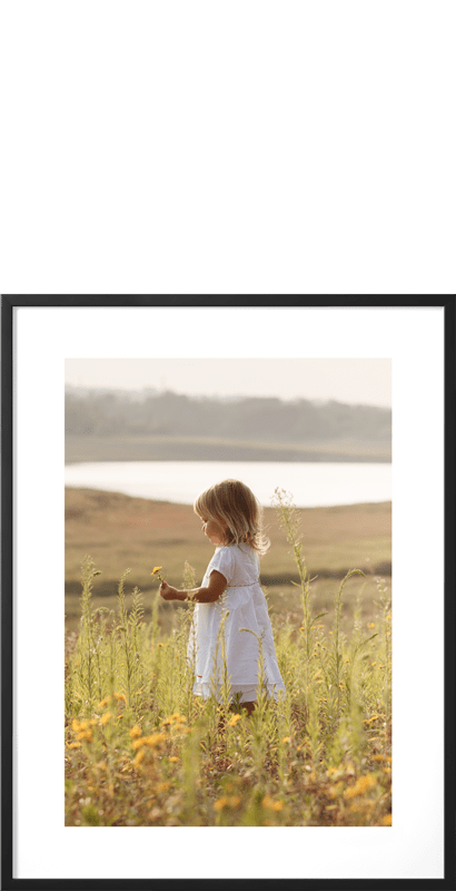 Frames<sup>&reg;</sup>