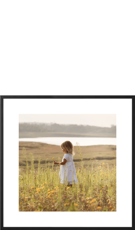 Frames<sup>&reg;</sup>