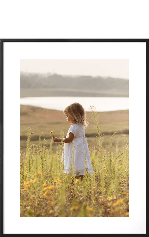 Frames<sup>&reg;</sup>