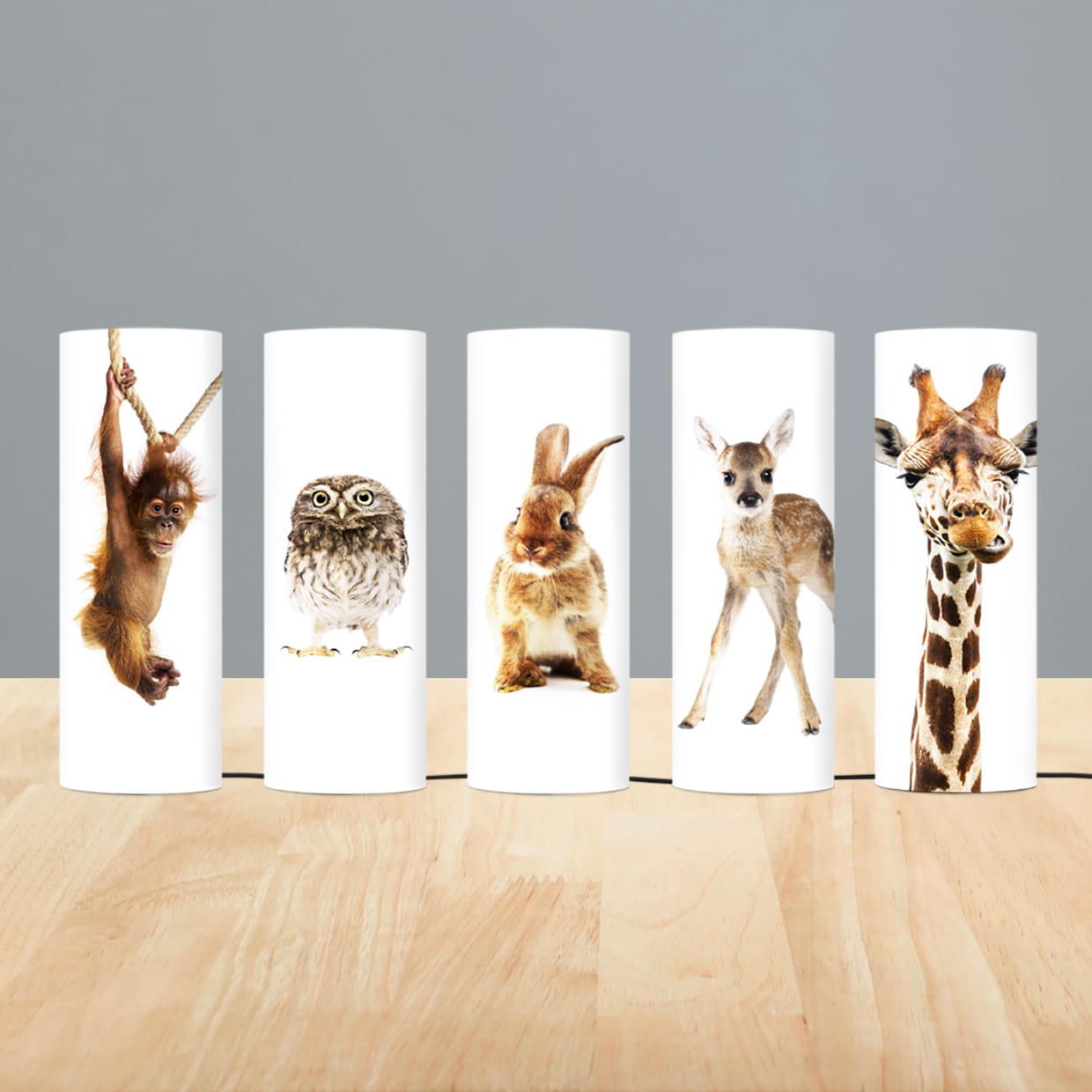 Photo on a lamp living room